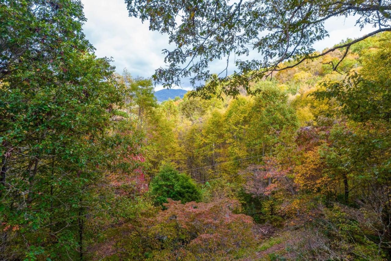 Mountain Top Tranquility Sylva Bagian luar foto